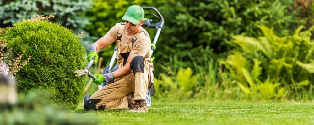 Commercial Landscape Maintenance 2