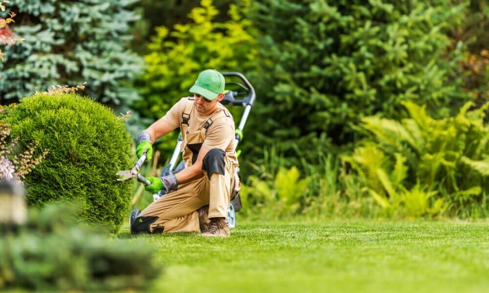 Commercial Landscape Maintenance Picture 1