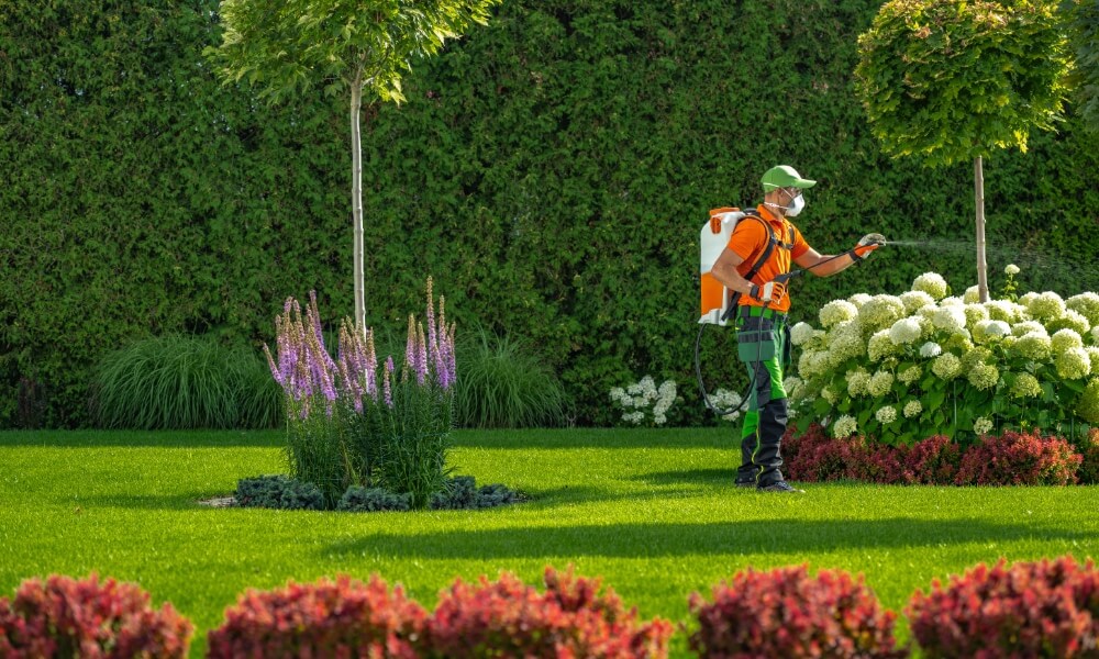 Grounds Maintenance for Businesses Picture 1