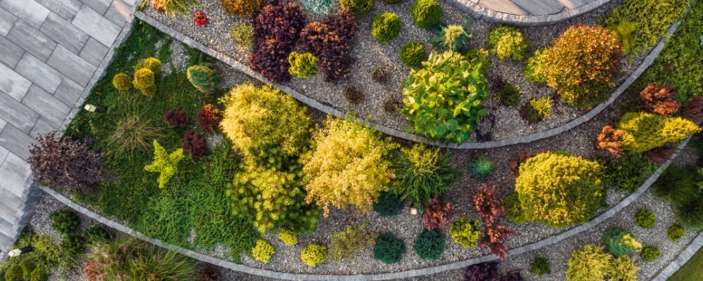 Landscape Layout Picture 1