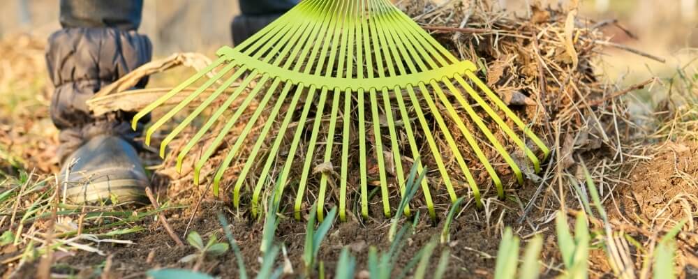 Spring and Fall Garden Clean-Ups Picture 2